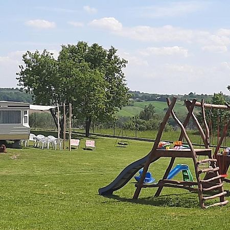 Gosp. Agroturystyczne Stary Gaj Villa Zerkowice Kültér fotó