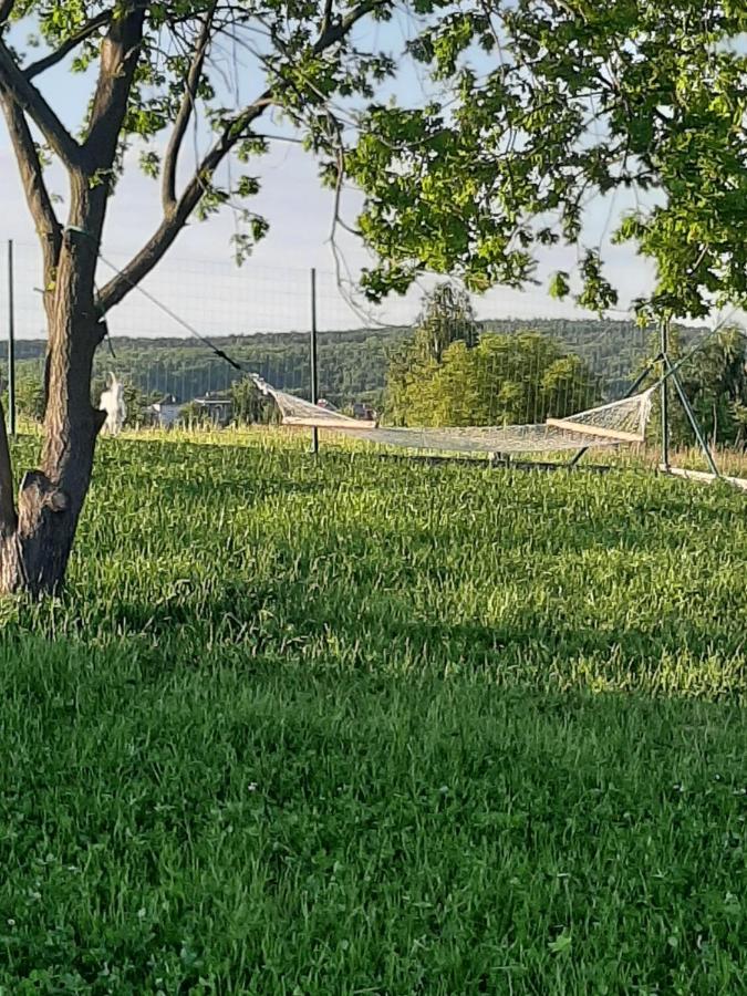 Gosp. Agroturystyczne Stary Gaj Villa Zerkowice Kültér fotó