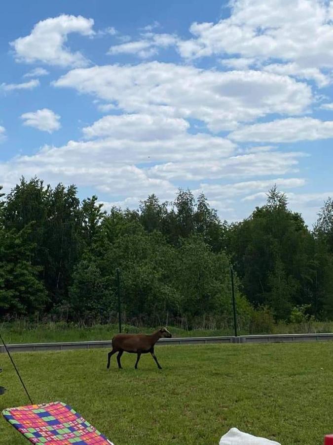 Gosp. Agroturystyczne Stary Gaj Villa Zerkowice Kültér fotó