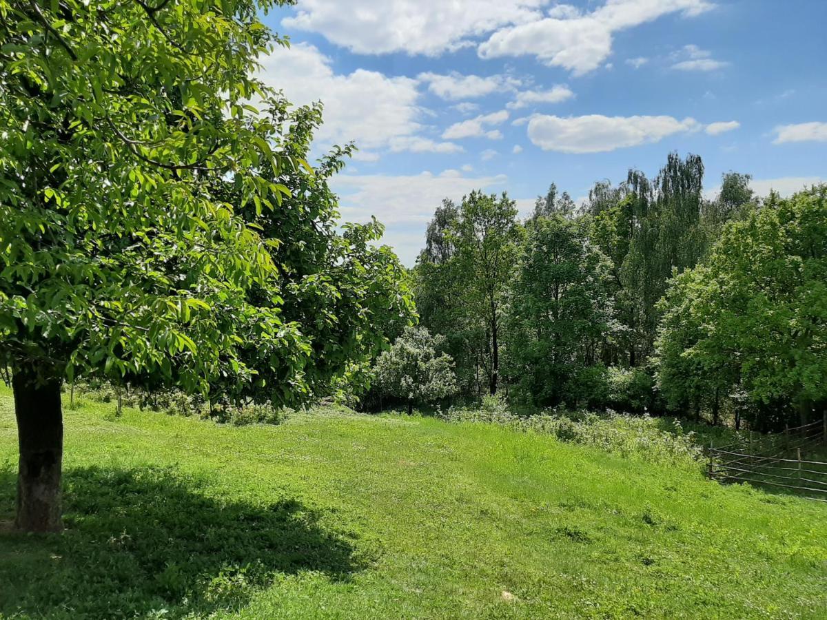 Gosp. Agroturystyczne Stary Gaj Villa Zerkowice Kültér fotó