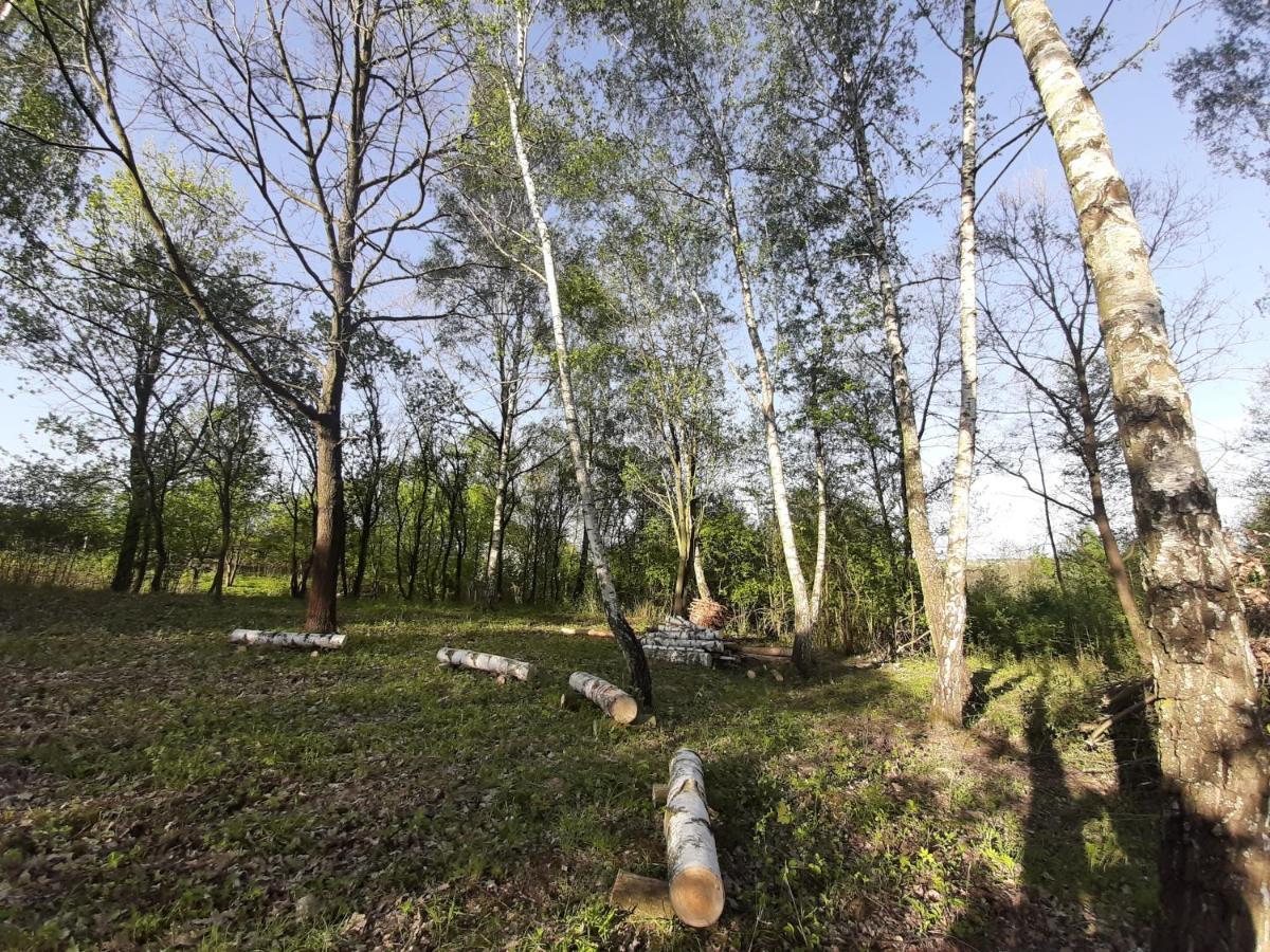 Gosp. Agroturystyczne Stary Gaj Villa Zerkowice Kültér fotó