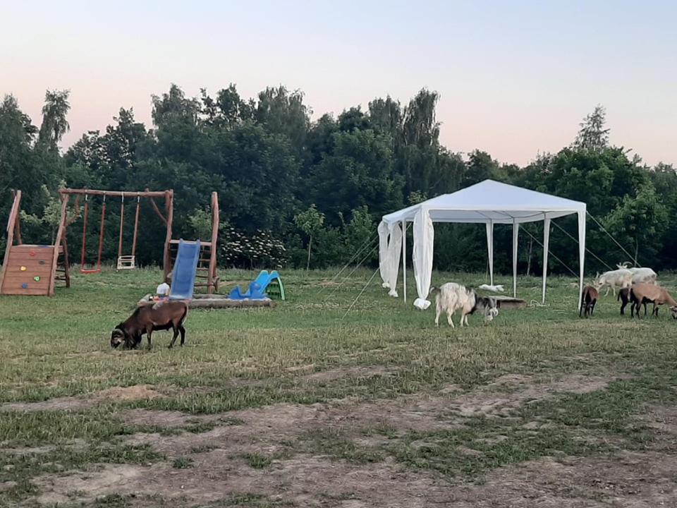 Gosp. Agroturystyczne Stary Gaj Villa Zerkowice Kültér fotó