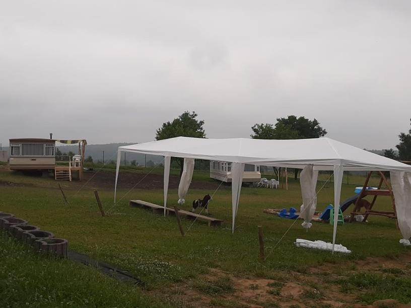 Gosp. Agroturystyczne Stary Gaj Villa Zerkowice Kültér fotó