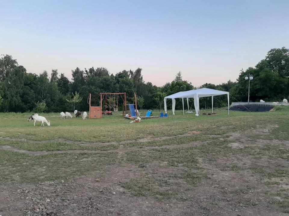 Gosp. Agroturystyczne Stary Gaj Villa Zerkowice Kültér fotó