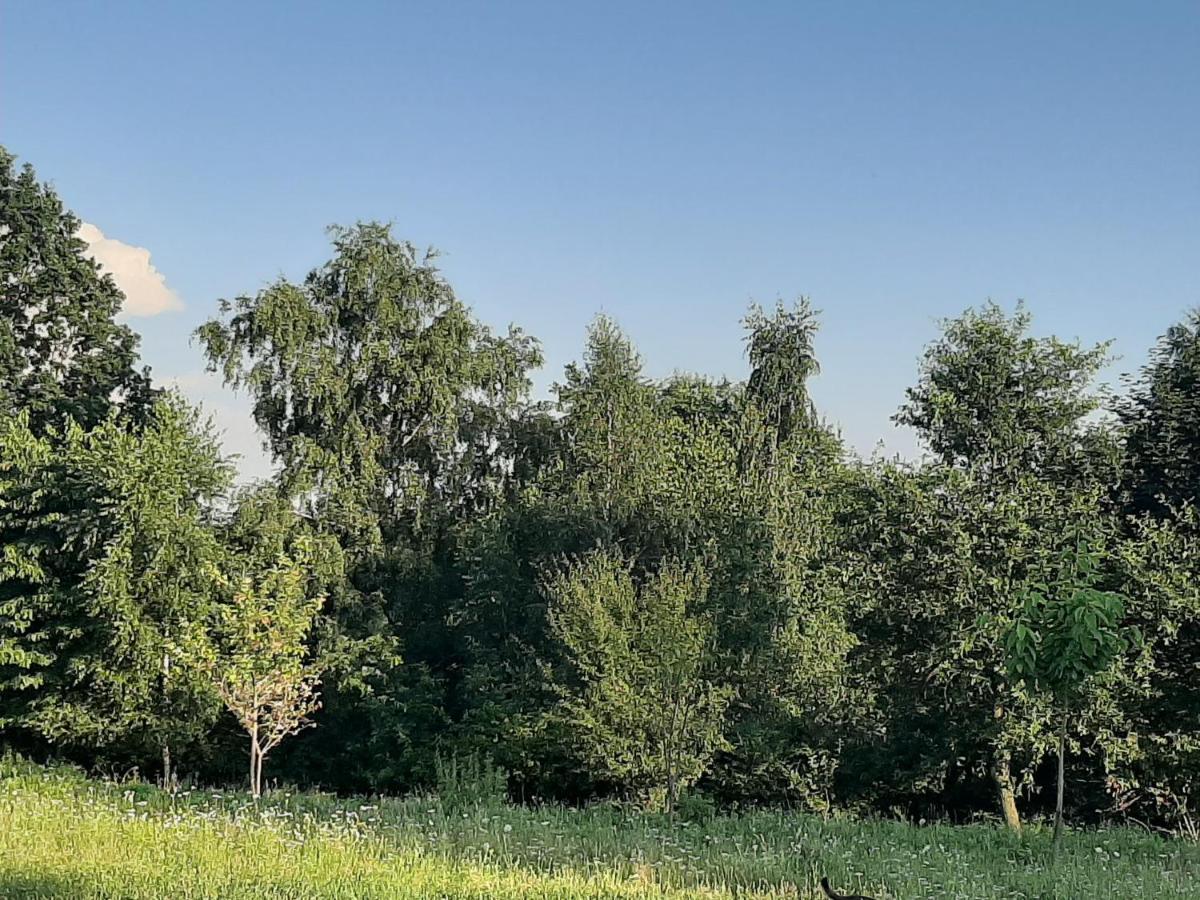 Gosp. Agroturystyczne Stary Gaj Villa Zerkowice Kültér fotó